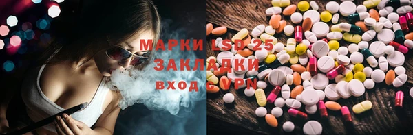 индика Алексин